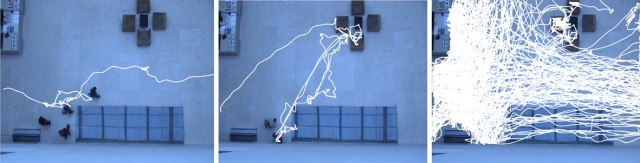 glazed-floor-Leopold