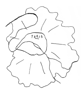 Paris Sketch Dembski